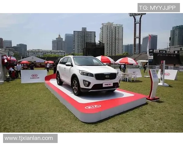 北京极限运动队的创新运营模式与发展策略探讨