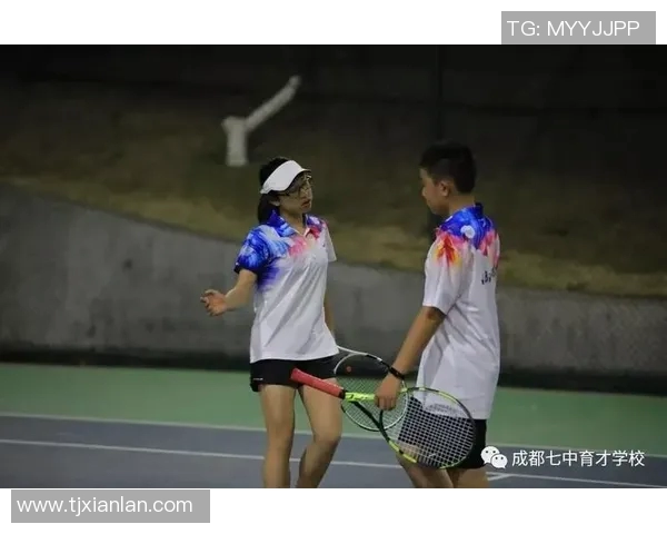 成都网球队阵地战体系深度解析与战术应用探讨 成都网球队阵地战体系深度解析与战术应用探讨