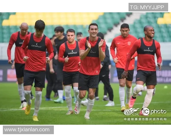 成都排球队的战术解析与控制能力深度探讨 成都排球队的战术解析与控制能力深度探讨