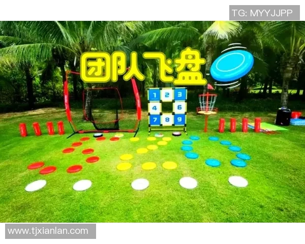 杭州飞盘队与深圳飞盘队赛后复盘分析意识碰撞与战术对决 杭州飞盘队与深圳飞盘队赛后复盘分析意识碰撞与战术对决