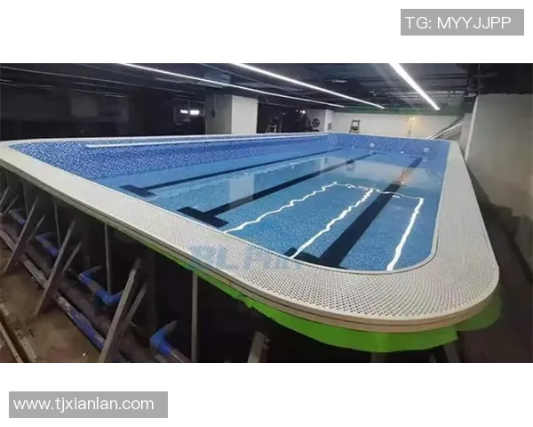 泳池明星风采尽显 游泳世界中的璀璨之星如何塑造独特魅力