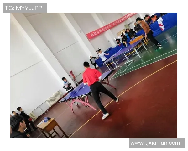 赵芳独家分享乒乓球技巧与心得助你提升球技的秘诀与经验