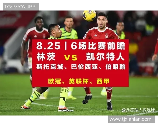 全球十大足球明星排名及其精彩数据分析与对比